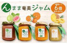 “んまま奄美ジャム”６個セット【たんかん・グァバ・パインジャム詰合せ】