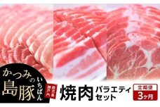 【定期便3か月】かつみの島豚いちばん焼肉バラエティセット 750g（250g×3パック）