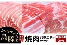 【定期便6か月】かつみの島豚いちばん焼肉バラエティセット 750g（250g×3パック）