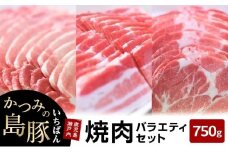かつみの島豚いちばん焼肉バラエティセット750g（250g×3パック）