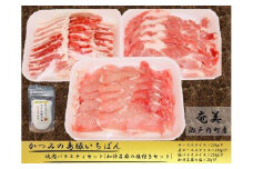 かつみの島豚いちばん焼肉バラエティセット750g(250g×3パック）加計呂麻の塩付き