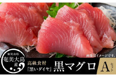 鹿児島県奄美大島産高級食材『黒いダイヤ』黒マグロ　Aセット