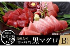 鹿児島県奄美大島産高級食材『黒いダイヤ』黒マグロ　Bセット