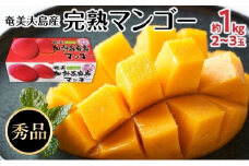 【2025年発送】奄美大島産　完熟マンゴー 約1キロ（2～3玉）