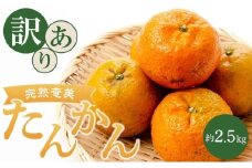 【2023年2月発送】奄美大島産【訳あり】「濃蜜たんかん」ご家庭用 約2.5kg＜先行予約＞