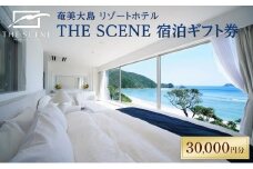 ホテル THE SCENE 宿泊ギフト券 30,000分【宿泊券 ペア宿泊券 人気宿泊券 ホテル宿泊券 奄美宿泊券 宿泊ギフト券 旅行券 旅行 観光 人気 おすすめ 奄美大島 鹿児島県 瀬戸内町 BK006】