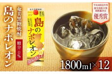 奄美黒糖焼酎 島のナポレオン 紙パック 25度 1800ml×12本 セット 奄美 黒糖焼酎 ギフト 奄美大島 お土産
