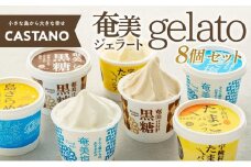 【CASTANO】奄美ジェラート　8個セット（ギフト用も可）【1】