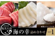 【奄美大島 瀬戸内町】海の幸　詰め合わせセット１（黒マグロ・ソデイカ・加計呂麻の塩）