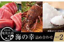 【奄美大島 瀬戸内町】海の幸　詰め合わせセット２（伊勢海老・黒マグロ・加計呂麻の塩）
