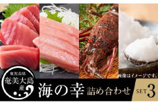 【奄美大島 瀬戸内町】海の幸　詰め合わせセット３（伊勢海老・黒マグロ2種・夜行貝・加計呂麻の塩）