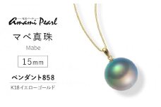 【奄美パール】奄美の輝き®×虹珠　マベ真珠 15mm K18イエローゴールドペンダント858＜数量限定＞