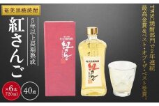 奄美黒糖焼酎 紅さんご 720ml×6本 奄美 黒糖焼酎 ギフト 奄美大島 お土産