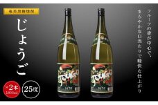 奄美黒糖焼酎 じょうご 25度 一升瓶 1800ml×2本