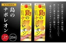 奄美黒糖焼酎 島のナポレオン 紙パック 25度 1800ml×2本