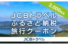 【奄美大島 瀬戸内町】JCBトラベルふるさと納税旅行クーポン（3,000円分）※JCBカード会員限定