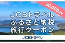【奄美大島 瀬戸内町】JCBトラベルふるさと納税旅行クーポン（30,000円分）※JCBカード会員限定