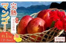 【2025年先行予約】奄美 加計呂麻島 完熟マンゴー 家庭用 約1kg（2～3玉入り）化粧箱