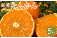 奄美大島産 食べごろ樹上完熟『奄美たんかん』5kg ご家庭用 先行予約 2025年2月上旬より発送