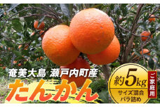 奄美大島 瀬戸内町産 たんかん ご家庭用 約5kg サイズ混合 バラ詰め