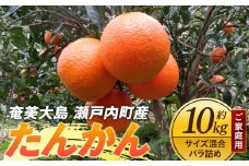 奄美大島 瀬戸内町産 たんかん ご家庭用 約10kg サイズ混合 バラ詰め