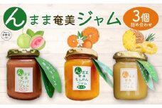 【お中元用】“んまま奄美ジャム”３個セット【たんかん・グァバ・パインジャム詰合せ】