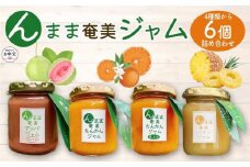 【お中元用】“んまま奄美ジャム”６個セット【たんかん・グァバ・パインジャム詰合せ】