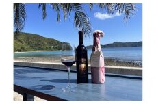 tlass SEA CELLAR -2025 2nd Edition- 海底熟成赤ワイン 750ml×1本
