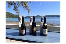 tlass SEA CELLAR -2025 2nd Edition- 海底熟成前後飲み比べワイン 白・赤・スパークリング 750ml×6本セット