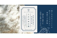 加計呂麻島産 海底湧水塩【うみがめの涙】50g  10 セット