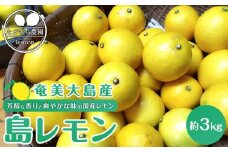 奄美大島産 島れもん 3kg＜芳醇な香りと爽やかな味の国産レモン＞