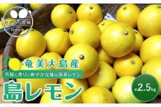 奄美大島産 島れもん 2.5kg＜芳醇な香りと爽やかな味の国産レモン＞