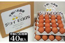 奄美大島の平飼い有精卵　40個入り