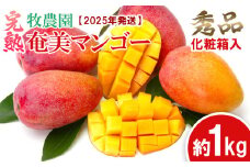 【2025年発送】牧農園の完熟奄美マンゴー 秀品 約1kg（化粧箱入） 鹿児島県 奄美群島 奄美大島 龍郷町 国産 奄美産 青果 果物 くだもの フルーツ 南国 トロピカル デザート スイーツ 濃厚 とろける 甘い 農家直送 秀品 1kg