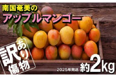 南国奄美のアップルマンゴー 傷物・訳あり 約2kg【2025年発送】 鹿児島県 奄美群島 奄美大島 龍郷町 国産 奄美産 青果 果物 くだもの フルーツ 南国 トロピカル デザート スイーツ 濃厚 とろける 甘い アップルマンゴー 訳あり 2kg