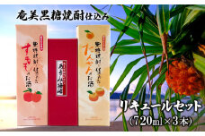奄美黒糖焼酎仕込み　リキュールセット（720ml×3本） 鹿児島県 奄美群島 奄美大島 龍郷町 国産 奄美産 お酒 アルコール リキュール 果実酒 黒糖焼酎仕込み すもも 梅 たんかん 晩酌 お取り寄せ 町田酒造 奄美大島酒造 里の曙 浜千鳥乃詩