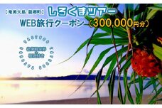 【奄美大島：龍郷町】しろくまツアーで利用可能なWEB旅行クーポン（300000円分）