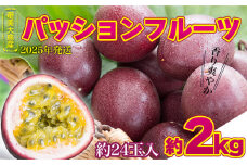 2025年発送【奄美大島産】香り爽やかパッションフルーツ 約2kg 鹿児島県 奄美群島 奄美大島 龍郷町 国産 奄美産 青果 果物 くだもの フルーツ 果物時計草 南国 トロピカル 初夏の果実 さわやか 甘酸っぱい お取り寄せ 先行予約 期間限定 数量限定