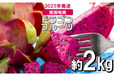 南国奄美のドラゴンフルーツ赤 約2kg（4～8玉入り）【2025年発送】 鹿児島県 奄美群島 奄美大島 龍郷町 国産 奄美産 青果 果実 果物 くだもの フルーツ デザート ピタヤ 火龍果 南国 トロピカル お取り寄せ 先行予約 期間限定 数量限定