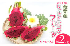 2025年発送【奄美産】レッドドラゴンフルーツ 約2kg（5～8玉入り） 鹿児島県 奄美群島 奄美大島 龍郷町 国産 奄美産 青果 果実 果物 くだもの フルーツ デザート ピタヤ 火龍果 南国 トロピカル お取り寄せ 先行予約 期間限定 数量限定