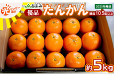 2025年発送【糖度10.5度以上】JAあまみ「優品」たんかん 約5kg 鹿児島県 奄美群島 奄美大島 龍郷町 国産 奄美産 青果 果物 くだもの フルーツ 柑橘 かんきつ みかん オレンジ ジューシー 光センサー選果 お取り寄せ 先行予約 期間限定 数量限定