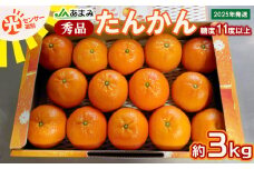 2025年発送【糖度11度以上】JAあまみ「秀品」たんかん 約3kg 鹿児島県 奄美群島 奄美大島 龍郷町 国産 奄美産 青果 果物 くだもの フルーツ 柑橘 かんきつ みかん オレンジ ジューシー 光センサー選果 お取り寄せ 先行予約 期間限定 数量限定