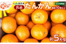 2025年発送【糖度10度以上】JAあまみ「良品」たんかん 約5kg 鹿児島県 奄美群島 奄美大島 龍郷町 国産 奄美産 青果 果物 くだもの フルーツ 柑橘 かんきつ みかん オレンジ ジューシー 光センサー選果 お取り寄せ 先行予約 期間限定 数量限定