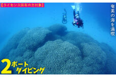奄美の海を満喫　2ボートダイビング【ライセンス保有の方対象】 鹿児島県 奄美群島 奄美大島 龍郷町 ふるさと納税 ダイビング ファンダイビング 2ボート Cカード保有者向け マリンスポーツ アウトドア 体験 レジャー 南国 海 サンゴ ウミガメ 熱帯魚 水中写真 癒し