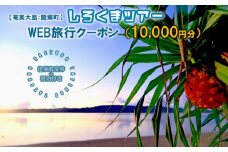 【奄美大島：龍郷町】しろくまツアーで利用可能なWEB旅行クーポン（10000円分）