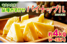 【奄美大島産】品種おまかせ パイナップル（約4kg・4～5玉入） 鹿児島県 奄美群島 奄美大島 龍郷町 国産 奄美産 青果 果物 くだもの フルーツ パインアップル 南国 トロピカル ジューシー さわやか おまかせ 農家直送 お取り寄せ 先行予約 数量限定