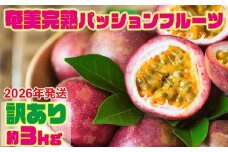 【2026年発送】奄美完熟パッションフルーツ 訳あり（約3kg） 鹿児島県 奄美群島 奄美大島 龍郷町 国産 奄美産 青果 果物 くだもの フルーツ 果物時計草 南国 トロピカル 初夏の果実 さわやか 甘酸っぱい 訳あり お取り寄せ 先行予約 数量限定