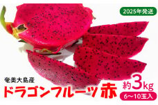 2025年発送【奄美大島産】ドラゴンフルーツ赤 約3kg（6～10玉入） 鹿児島県 奄美群島 奄美大島 龍郷町 国産 奄美産 青果 果実 果物 くだもの フルーツ デザート ピタヤ 火龍果 南国 トロピカル お取り寄せ 先行予約 期間限定 数量限定