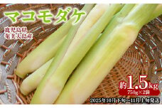 【2025年発送】奄美大島産 マコモダケ 約1.5kg（750g×2袋） 鹿児島県 奄美群島 奄美大島 龍郷町 奄美産 青果 野菜 マコモ マコモタケ マコモズミ 食物繊維 鉄分 カリウム 葉酸 低カロリー 天ぷら 炒め物 お取り寄せ 農家直送 小分け