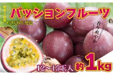 2026年発送【奄美大島産】香り爽やかパッションフルーツ 約1kg 鹿児島県 奄美群島 奄美大島 龍郷町 国産 奄美産 青果 果物 くだもの フルーツ 果物時計草 南国 トロピカル 初夏の果実 さわやか 甘酸っぱい お取り寄せ 先行予約 期間限定 数量限定